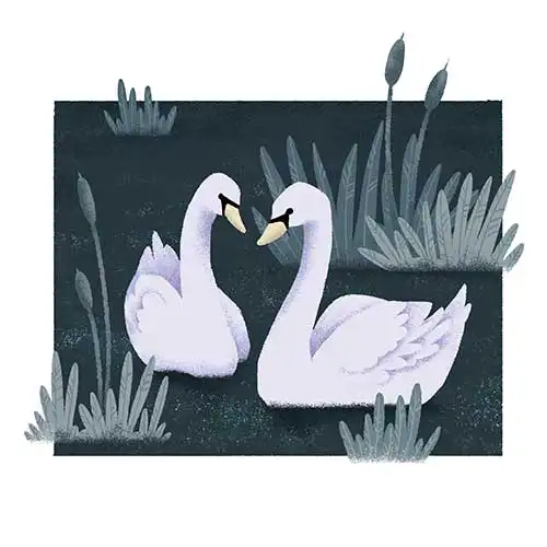 Swans by Gosia Kepka